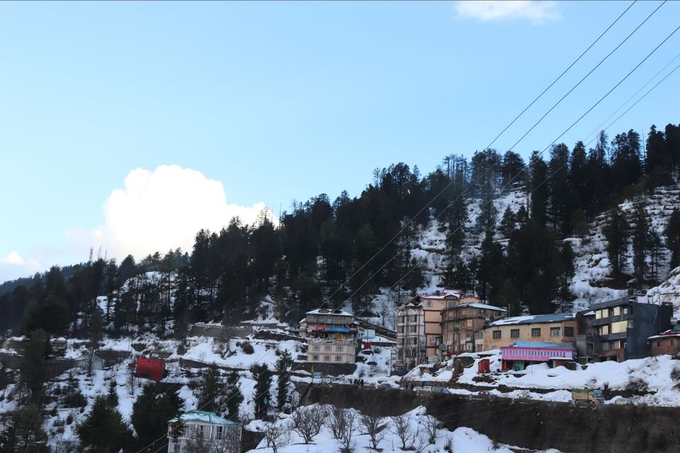 Stay in shimla