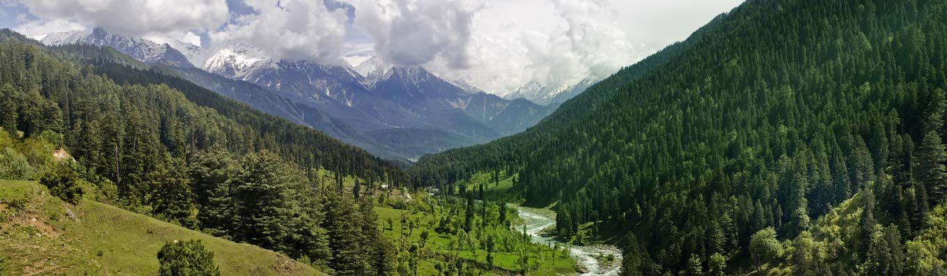 Honeymoon in Himachal 6 Nights / 7 Days
