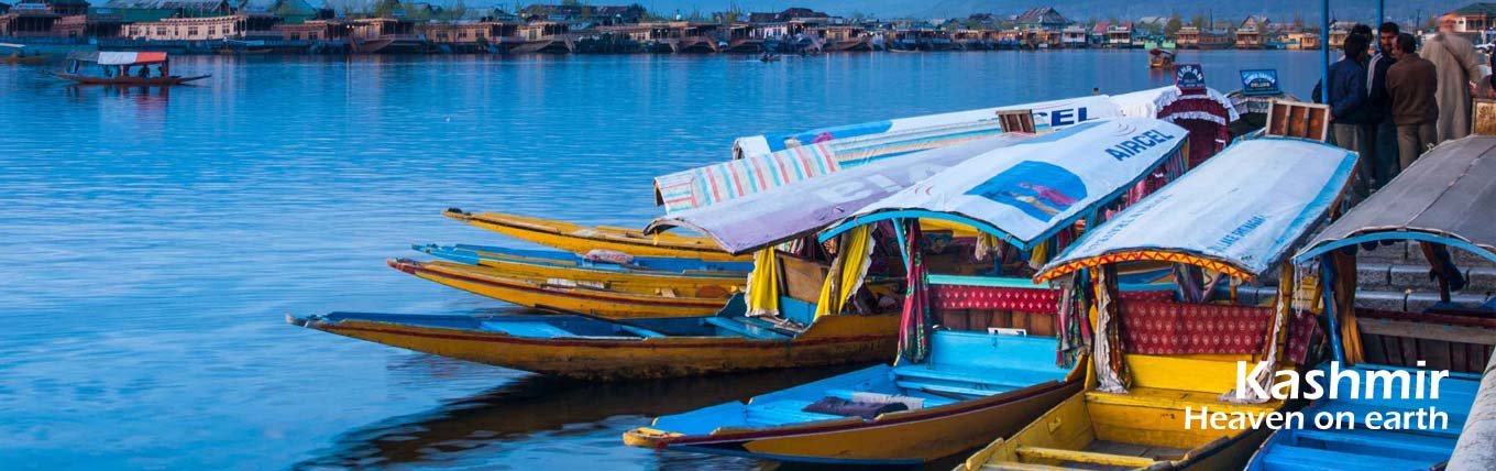 Short And Sweet Kashmir @9999